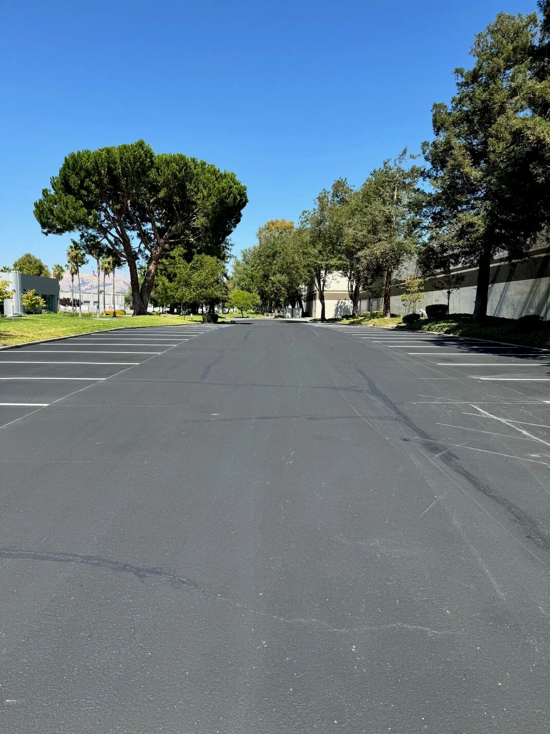 Industrial Asphalt Paving & Sealcoating Project - Image 15